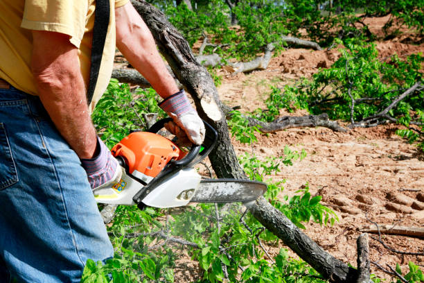 Leaf Removal in Gothenburg, NE